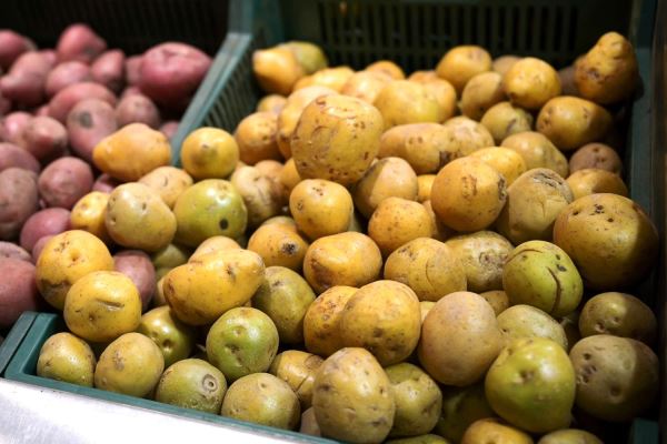 В Госдуме рассказали, как бороться с завышенными ценами на картофель